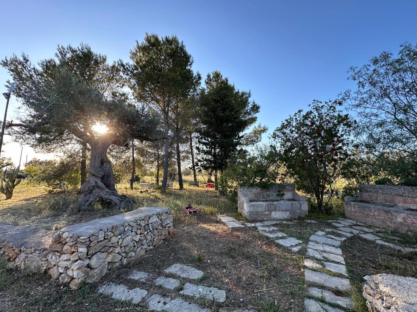 Vila La Petraia Magliano Exteriér fotografie
