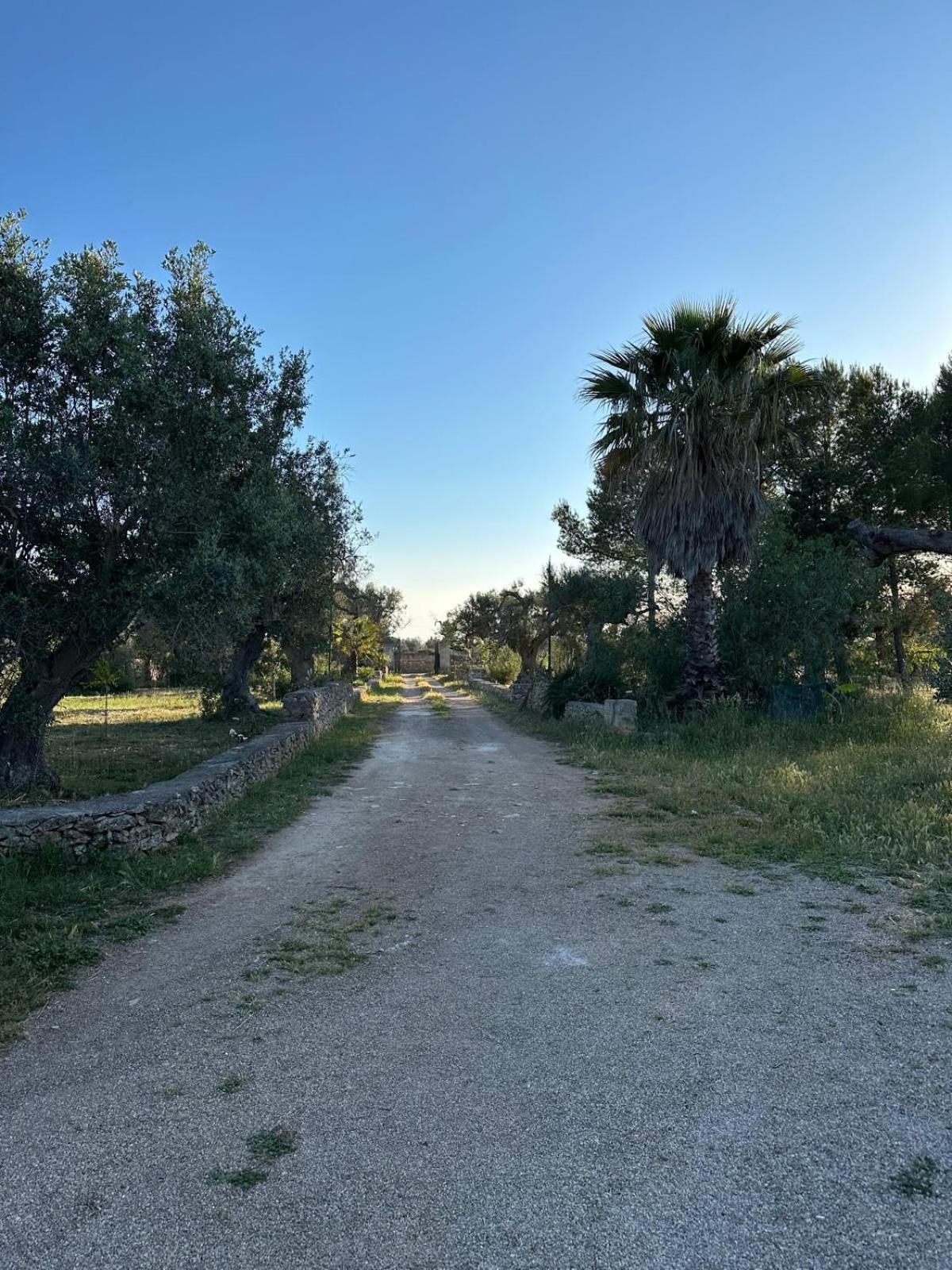 Vila La Petraia Magliano Exteriér fotografie